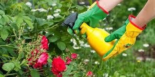 Simplemente Ecológico