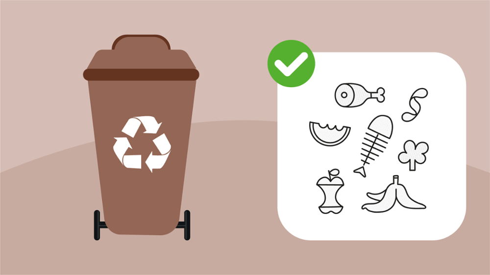 Que lixo tirar no colector marrón ou de orgánico