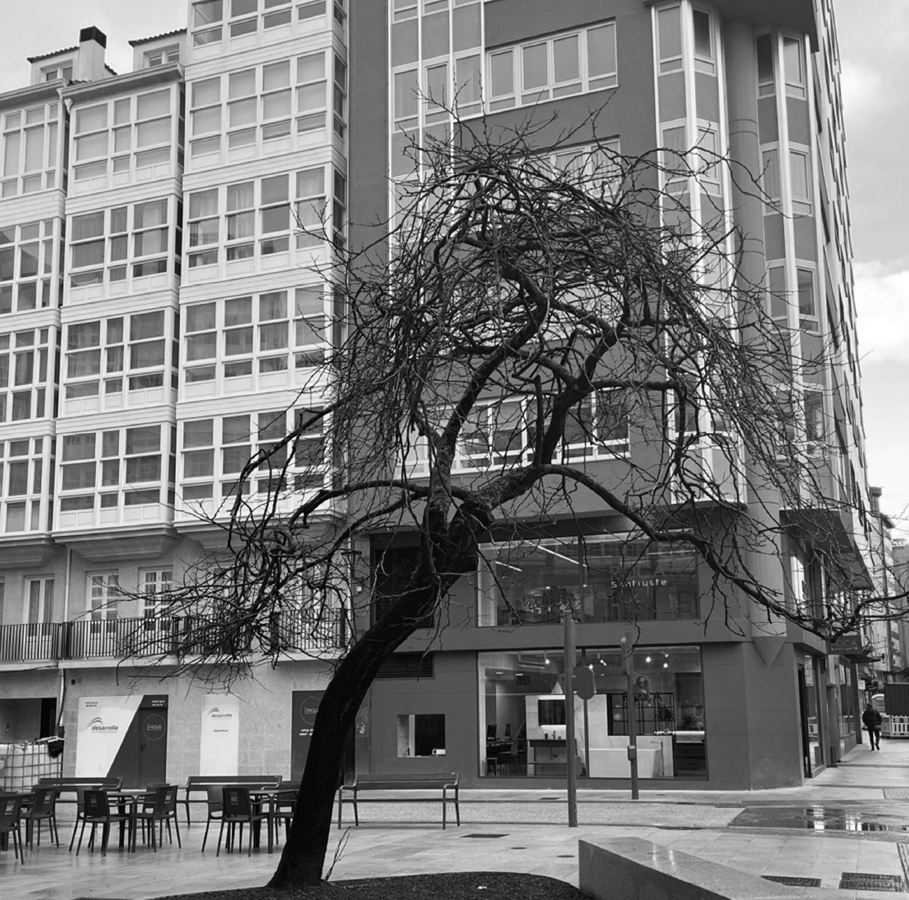 Declaración Zona Mercado Residencial Tensionado