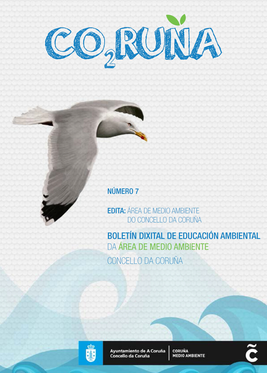 Portada boletin 7