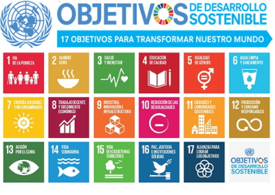 17 objetivos ONU