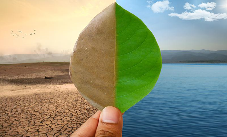 emerxencia climática