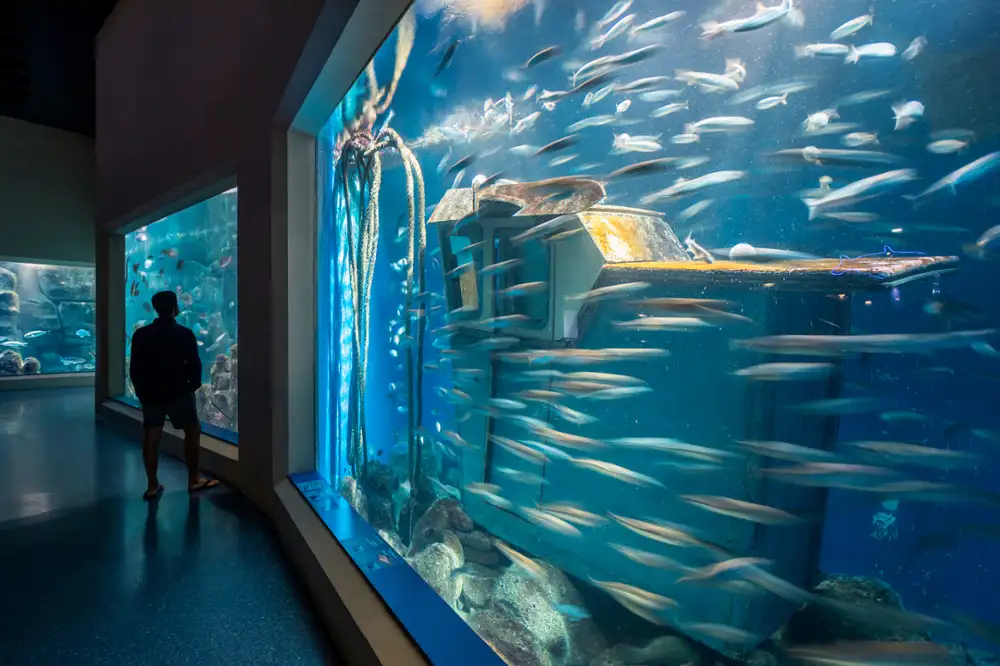Aquarium. Sala Nautilus