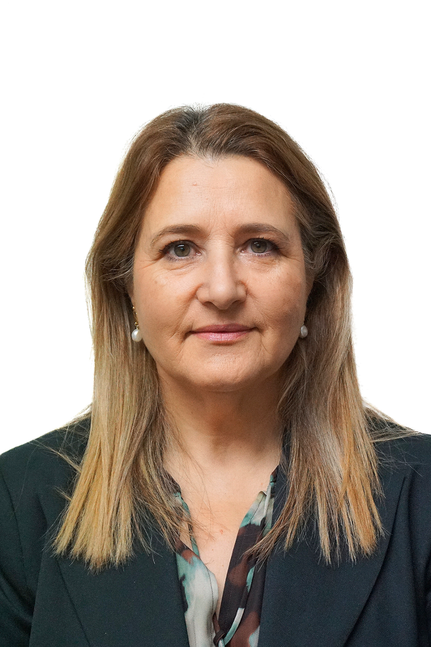 María Jesús Fariñas Andón