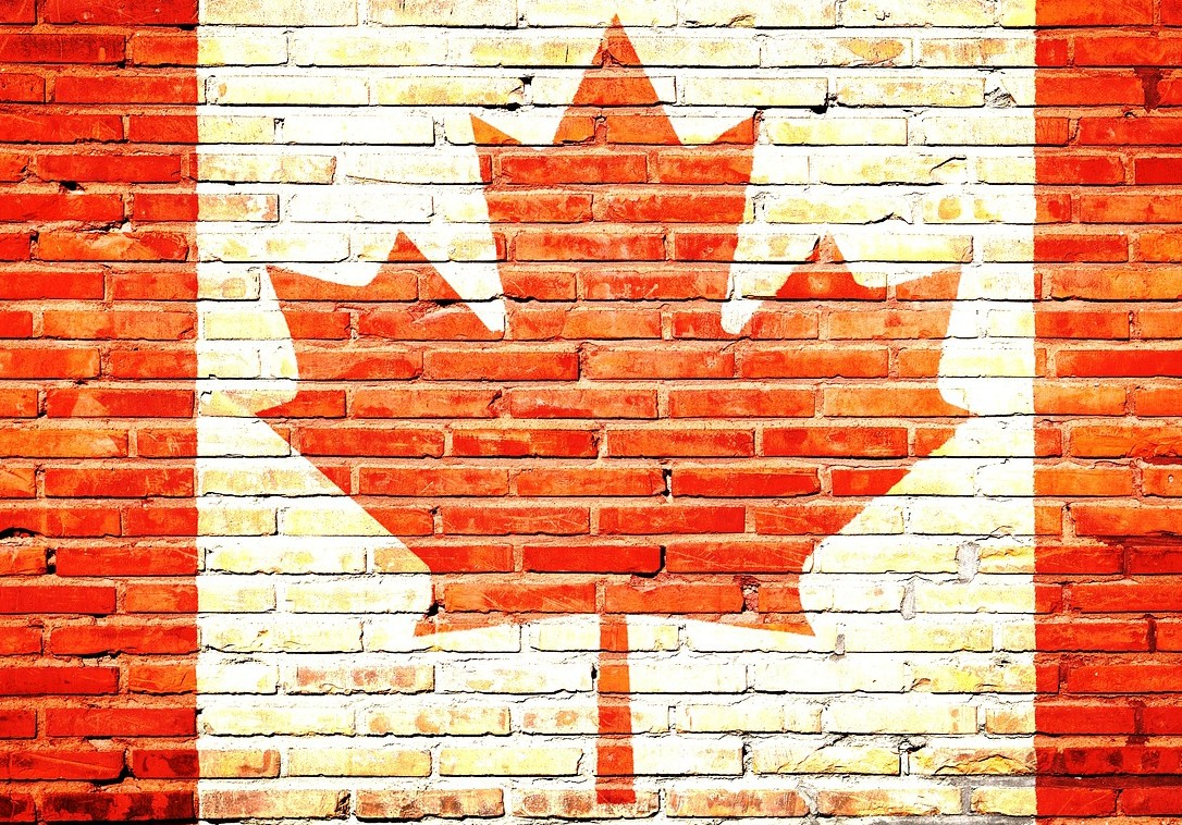 Folla de arce pintada nunha parede.