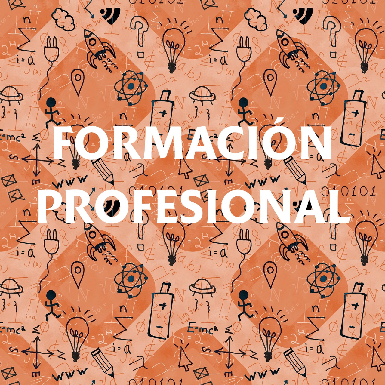 Formación profesional