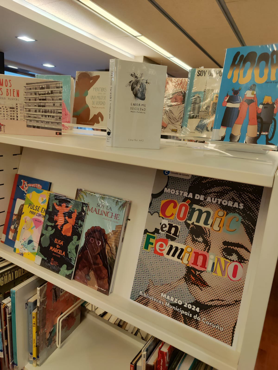 Comics nas bibliotecas