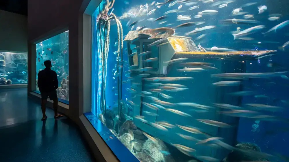 Aquarium Finisterrae Casa dos Peixes