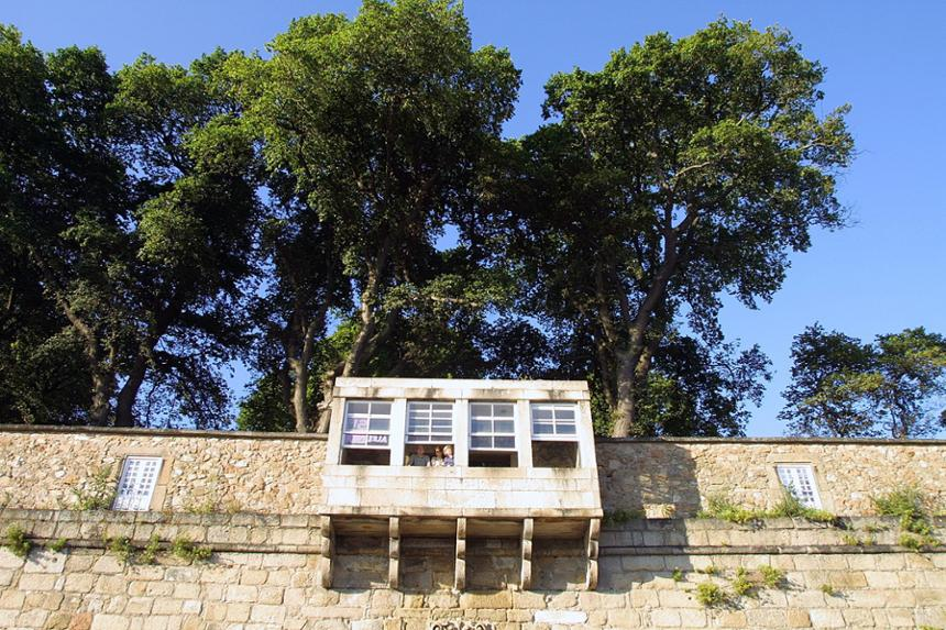 Jardines de San Carlos