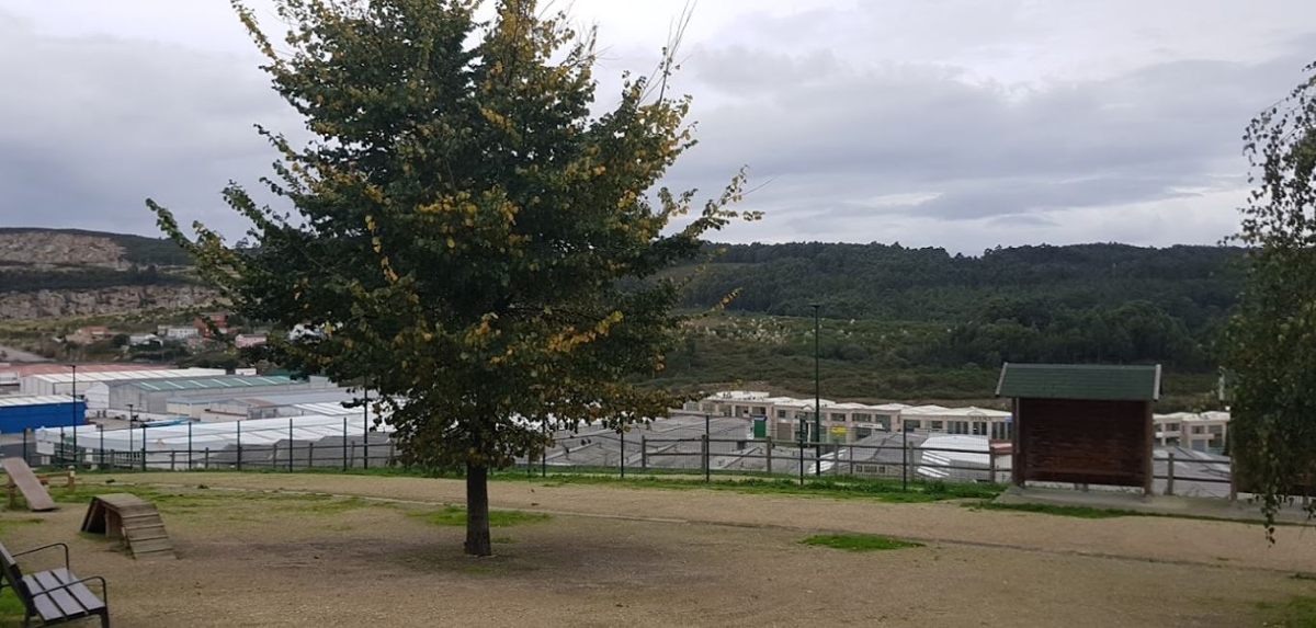 Área Canina Mesoiro