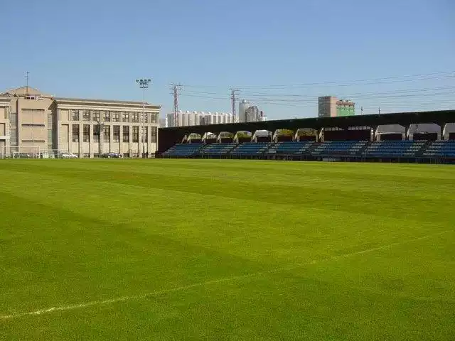 CAMPO DE LA GRELA - RODRIGO GARCIA VIZOSO