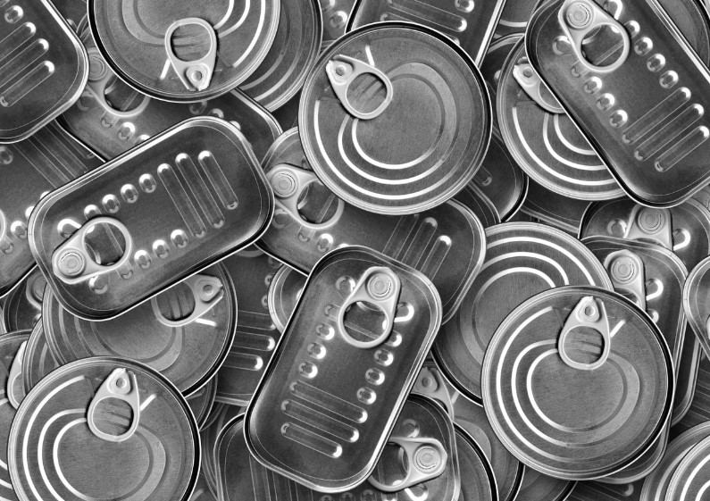 Latas de conservas de pescado.