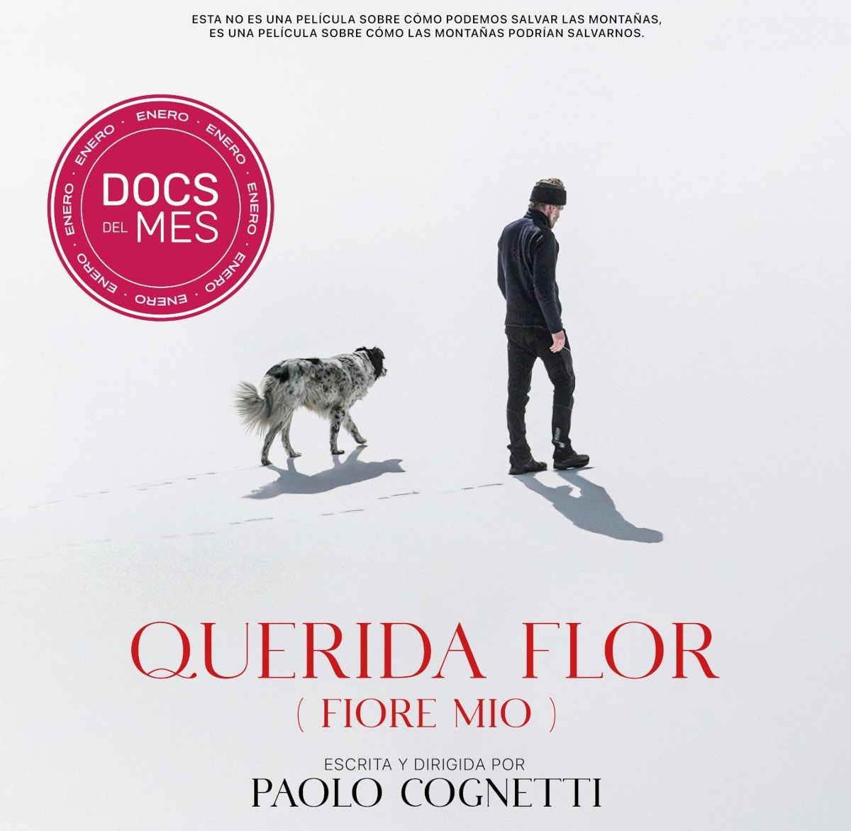 cartel do documental 