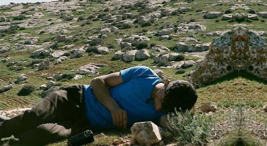 Non other land febreiro 2026