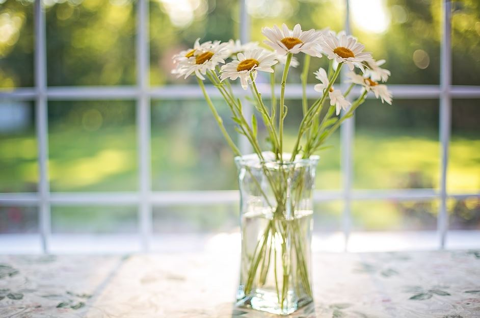 Margaritas nun xarrón.