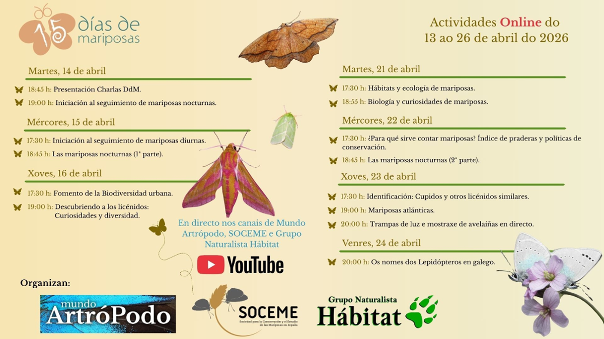 Cartel da actividde.