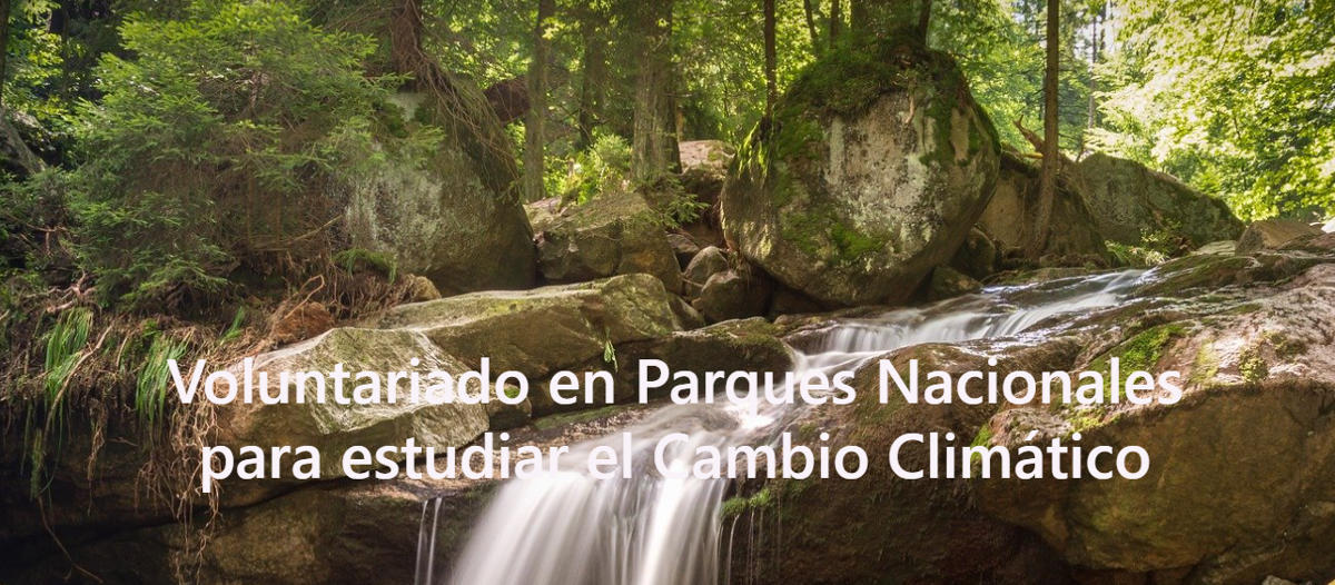 Cartel do programa sobre a fotografía dun bosque.