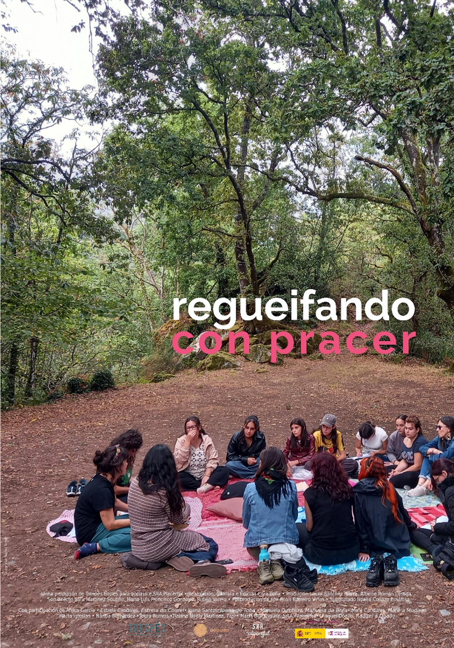 cartel da película