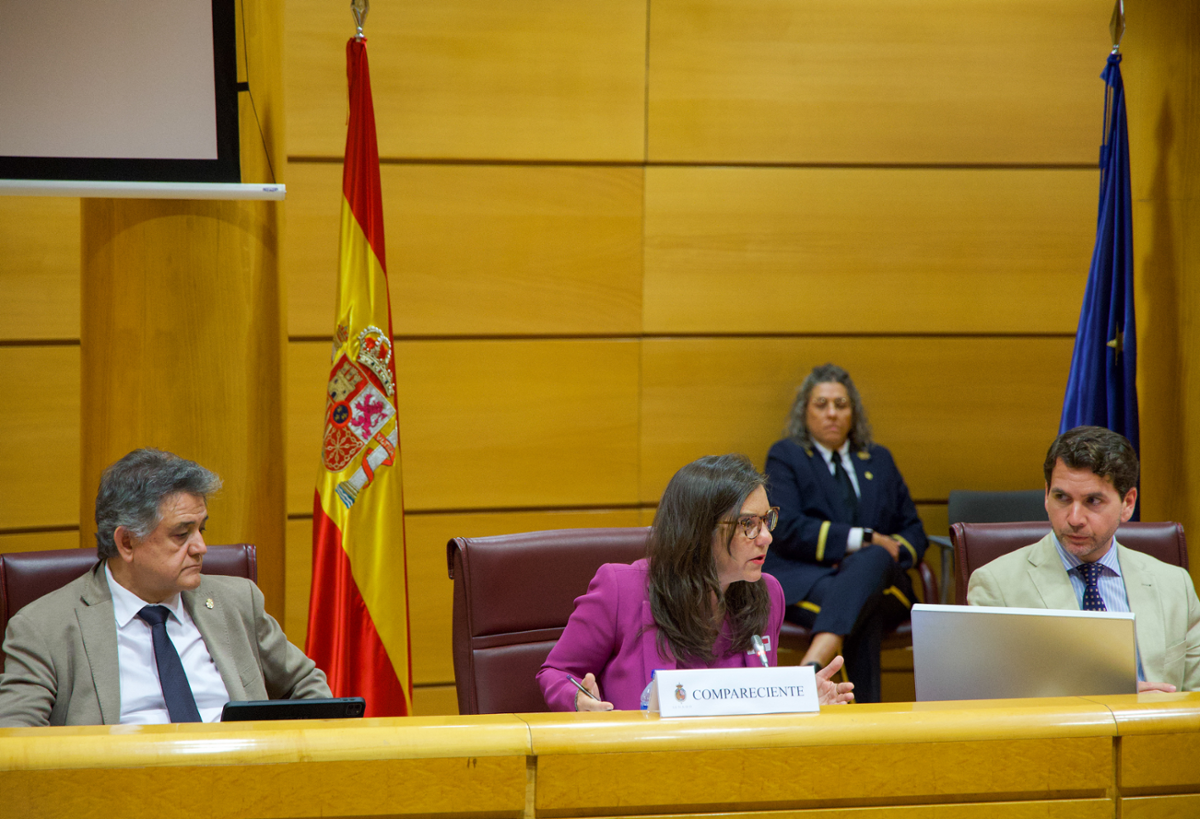 A alcaldesa, Inés Rey, hoxe no Senado.