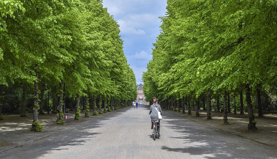 Moza en bicicleta por unha rúa con árbores.