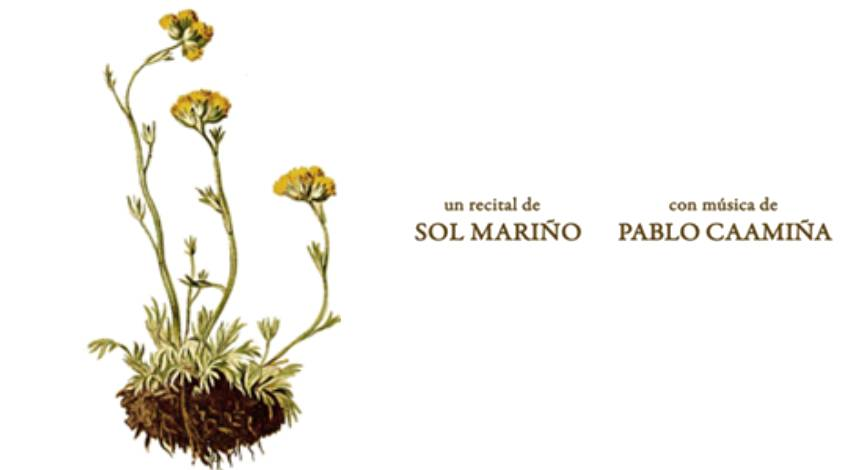 Recital 20.06.2026