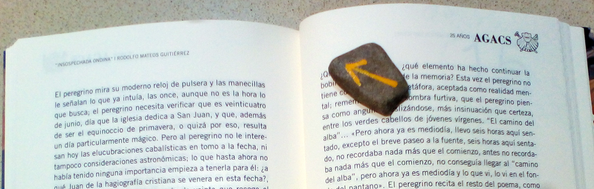 libro abierto, encima de una página una piedrita plana pintada con la flecha del Camino de Santiago