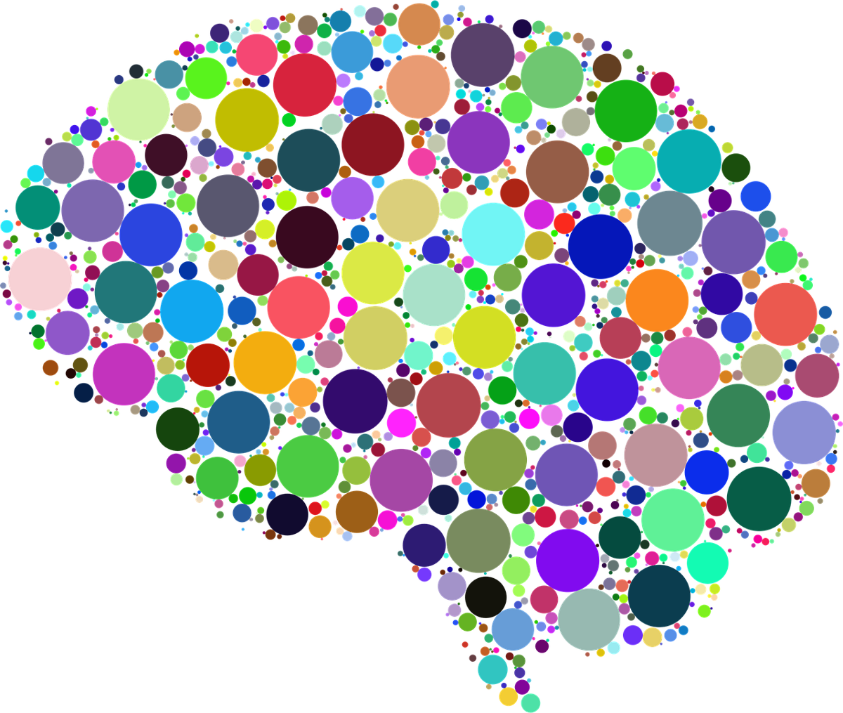 cerebro